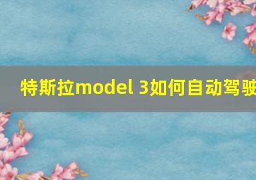 特斯拉model 3如何自动驾驶